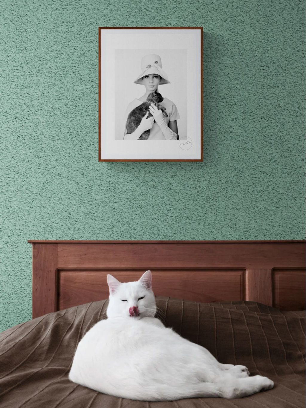 Graff Pulse Hoodie – Street DNA Edition